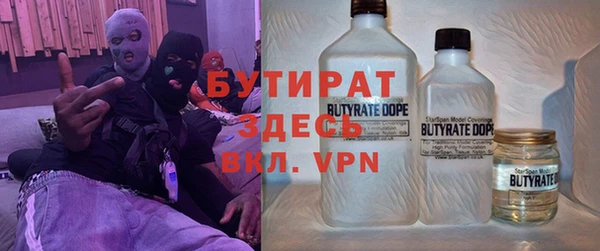 хмурый Каменка