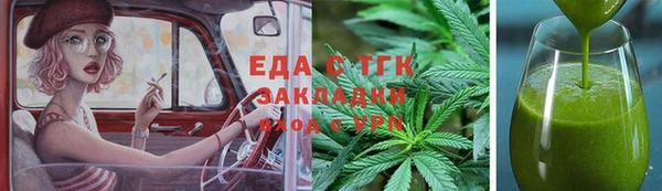 стафф Касимов