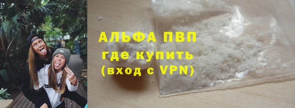 стафф Касимов