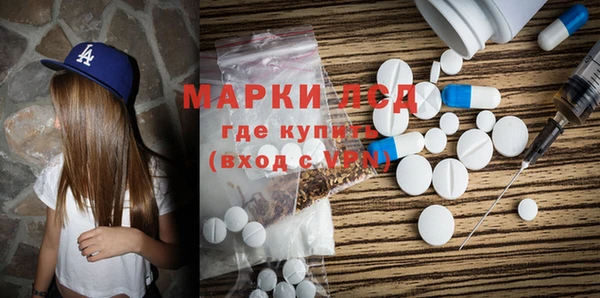стафф Касимов