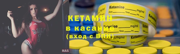 стафф Касимов