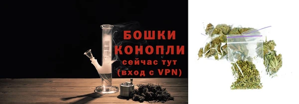 крисы Каменногорск
