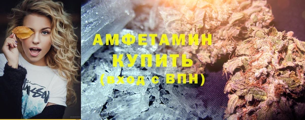 крисы Каменногорск