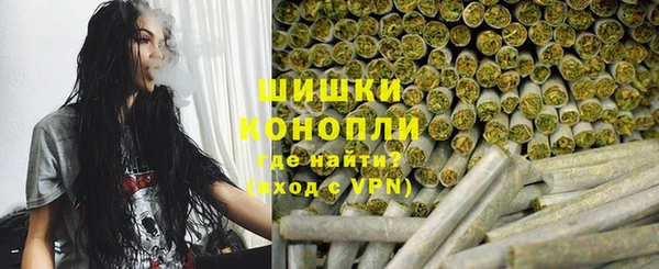 хмурый Каменка
