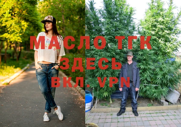 крисы Каменногорск