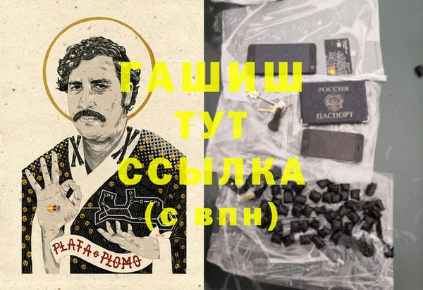хмурый Каменка