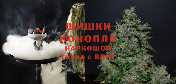 стафф Касимов