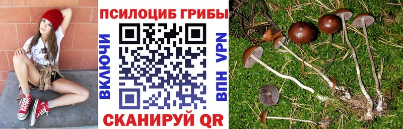 Купить закладки  Анива  Псилоцибиновые грибы Psilocybe 